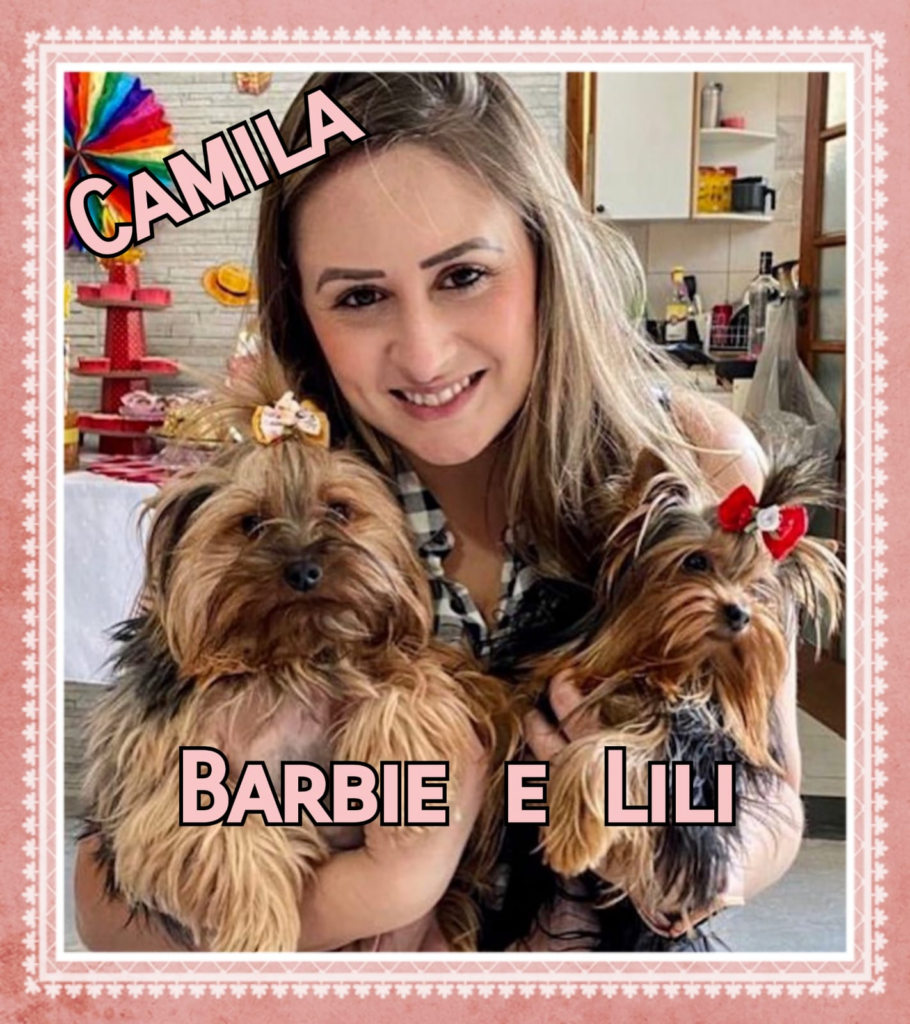 imagem_2023-12-11_094107281