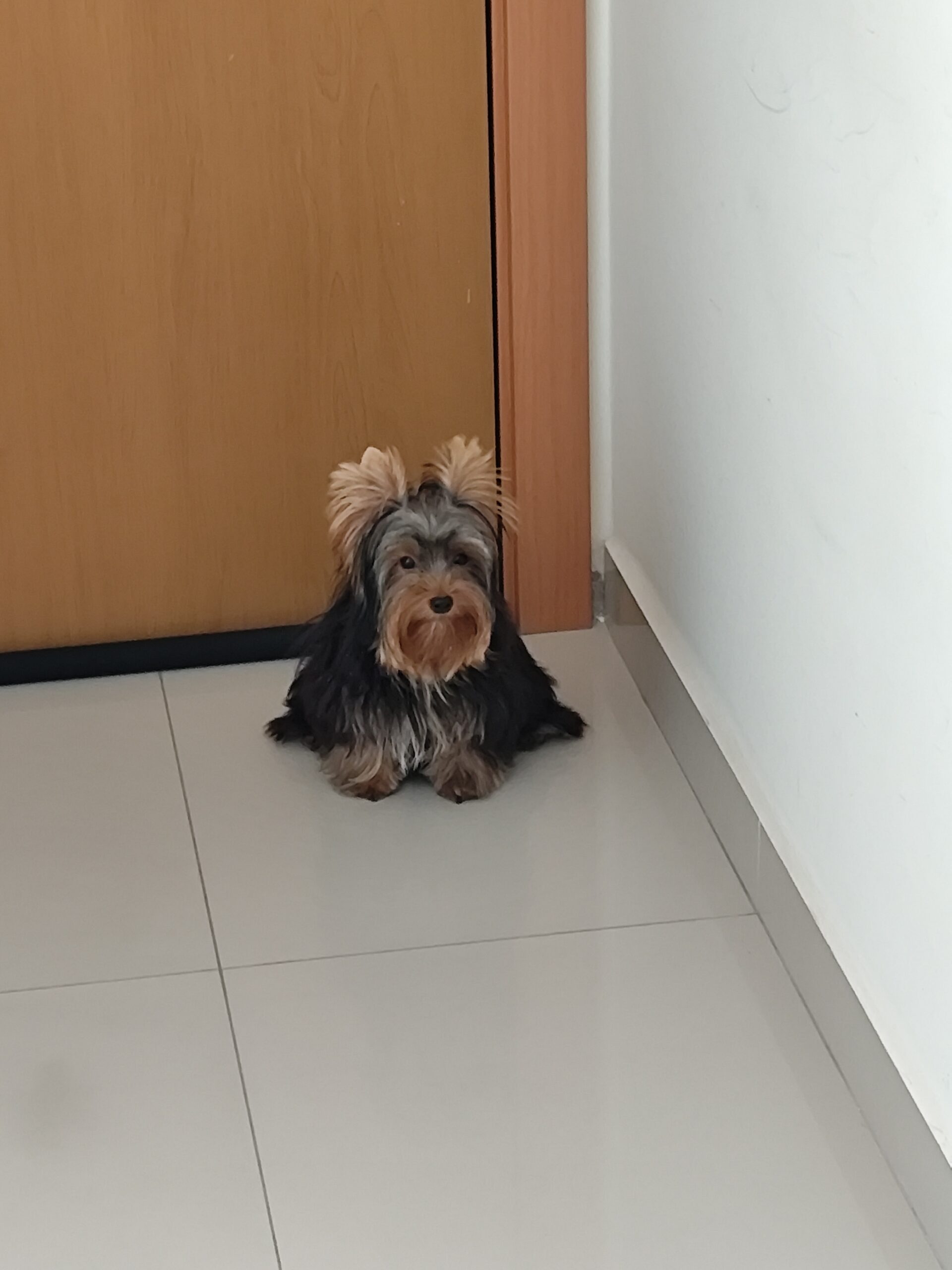 No momento, você está visualizando Ana Maria