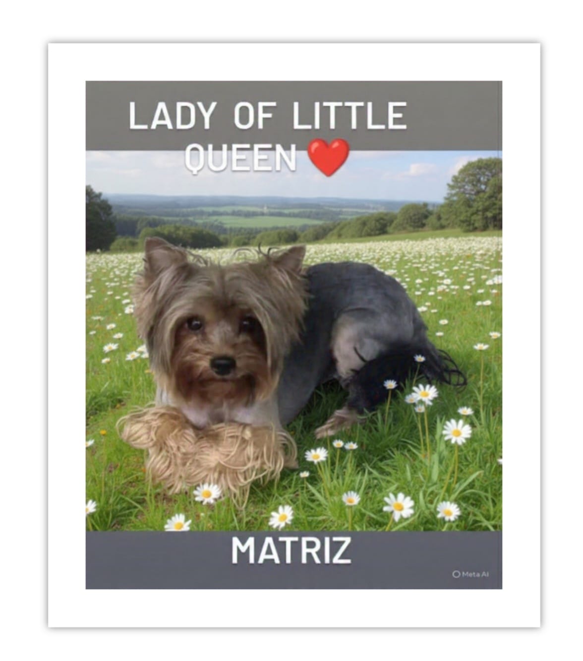 Lady of little queen